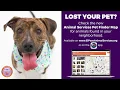 El Paso Animal Services-Pet Finder Map