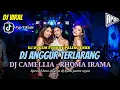 Download Lagu DJ DUGEM FUNKOT PALING ENAK !! DJ ANGGUR TERLARANG X DJ CAMELLIA RHOMA IRAMA