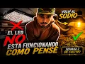 NUEVO CULTIVO GORILLA GHOST EL LED NO FUNCIONO COMO ESPERABA VOLVEMOS AL SODIO