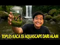 Download Lagu SESER MAKHLUK SUNGAI DAN MASUKIN KE TOPLES KACA! KITA BIKIN EKOSISTEM SUNGAI MINI DI TENGAH HUTAN