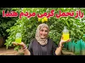 Download Lagu دو شربت مشهور نوشیدنی روزانه مردم هند در گرمی!🤤