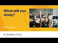 Online Information Session Berkeley Global Professional Diploma Programs