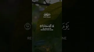 وكلهم آتيه يوم القيامة فردا تلاوه هادئه ومريحه للقلب القارئ عبدالرحمن مسعد 