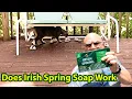 Does Irish Spring Soap Keep Cats Away