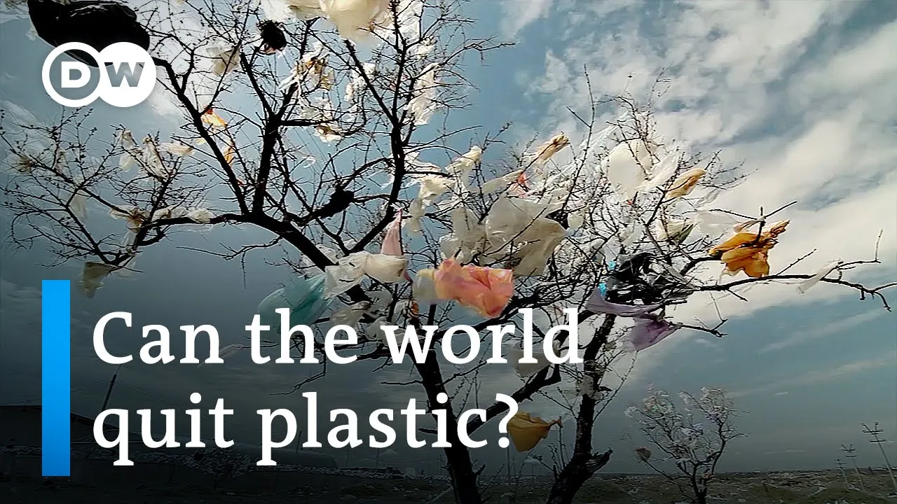 Talks for a global plastics treaty get underway in Uruguay | DW News