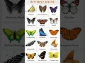 Different types of butterflies