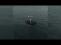 NF & Cordae - CAREFUL (Audio)