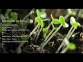 Download Lagu Día 6 del RETO 21 días MEDITACIÓN ABUNDANCIA con DEEPAK CHOPRA