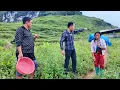 Download Lagu Tìm đất làm nền nhà chị ở cạnh chuồng gà 4 Con chồng đã tùa sau 1 năm. Nguyễn Tất Thắng
