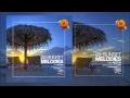 Download Lagu Sunset Melodies With Alex H 023 Guest Mix LTN [November 22 2014]