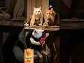 Download Lagu Addicted to Phones, This Kitten Becomes Lazy \u0026 Sleepy #cats #cat #crochetcrosai #catvideos #ai