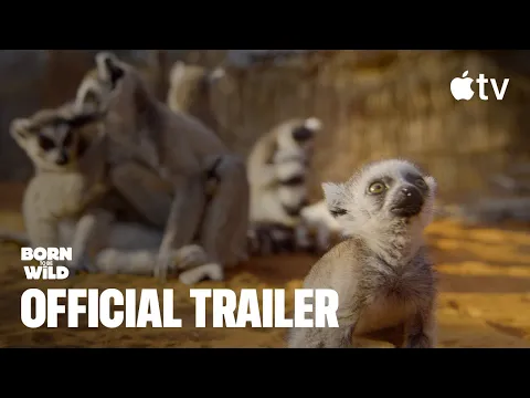 Official Trailer
