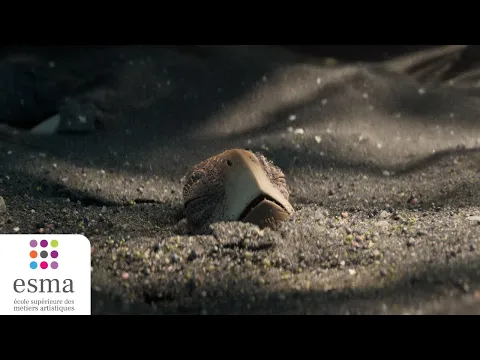 Dawn - ESMA 2024 (Teaser)