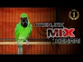 Lagu PRENJAK MIX KENARI || CUCAK IJO JAMTROK BONGKAR ISIAN