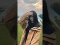 Download Lagu #shorts #jjdouyin #douyin #fyp #viralshorts #asiangirl #cutegirl #aesthetic #softgirl