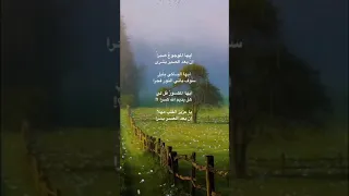 ايها الموجوع صبرا إن بعد الصبر بشرى 