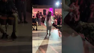 هدي عربي البان المال اغاني سودانية 2024 يالوله الحبشية 