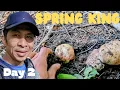 Spring King 2024 Boletus Rex-veris Day 2