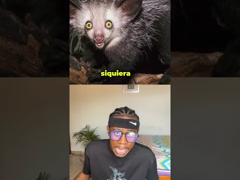 Animas mas feos de la naturaleza: