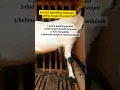 Download Lagu Ciri-ciri kambing indukan tidak bisa hamil atau majer/mandul #viralvideo #goat #farming