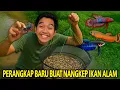 Lagu COBAIN PERANGAKAP MODEL BARU BUAT NANGKEP IKAN DI ALAM! TERNYATA HASILNYA KAYA BEGINI!