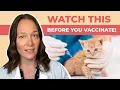 Cat Vaccination Schedule - Here s What You Should Know