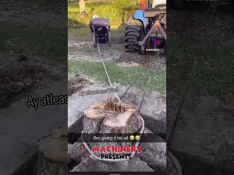 Extremely Dangerous Tree Cutting Fails With Chains 2025_ Best