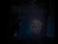 Beat Crusaders - Tonight, Tonight, Tonight