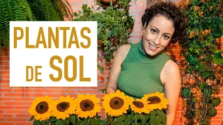 PLANTS that LOVE to be in the SUN: lavender, succulents and LOTS OF FLOWERS