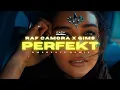 RAF Camora x GIMS – PERFEKT 🌴 (DMSBeatz Remix)