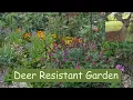 26 Ultra Deer Resistant Plants for Your Garden