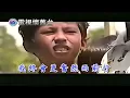 【 畫質提升歌詞字幕 】張雨生：我學會飛翔 MV / 1080P