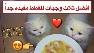 أفضل ثلاث وجبات منزليه للقطط الصغيره و الكبيره سهله و مفيده جدا Mohamed Vlog 