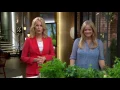 Download Lagu Fredrik Eriksson lagar svensk sommarmat - Nyhetsmorgon (TV4)