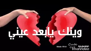 ضل بالي دندنها