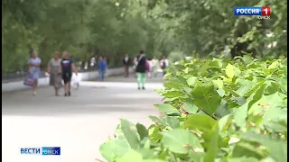 В Омск вновь возвращается жара