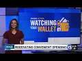 Sashem Brey Watching Your Wallet - Moderating convenient spending