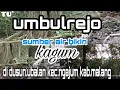 UMBULAN/UMBULREJO‼️.SUMBER .ubalan kec.ngajum kab.malang, sumber terbesar #matanajwa#najwashihab