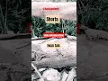 Download Lagu Siang Sebrang Istana - Iwan fals #shorts #nostalgia #lagu #popular @Radiojaddoels