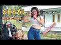 Download Lagu SESAL | Koplo Puleun ❗❗❗ | Voc: Dewi Kitty | BBS MUSIC