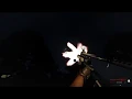 Strigoi anomaly script test Arma3