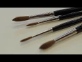 Diana Brush Range by Daler-Rowney - Introduction