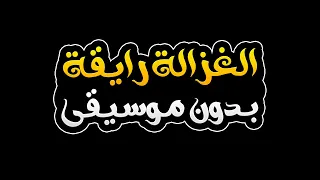 الغزالة رايقة بدون موسيقى   محمد أسامة وكريم محمود عبد العزيز دندنها