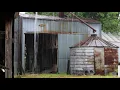 Morning Farm Rain - Birds Singing During Rain