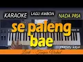 Download Lagu PALENG BAE Karaoke | Nada Pria - Marvey Kaya