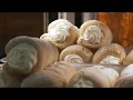 Painesville Behind the Scenes 3 Oldest Businesses