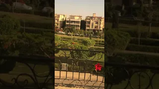 أقولك دول فاتونا فاتونا تقولي ده كلام دندنها