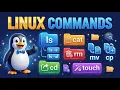 Linux Commands for Beginners ls cat rm cd touch cp Explained