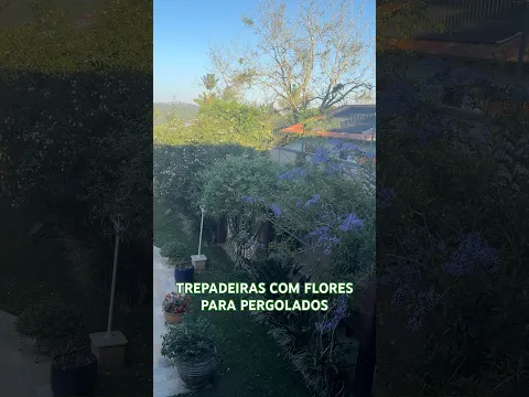 Trepadeiras Com Flores | Plantas Perfumadas Para Pergolado
