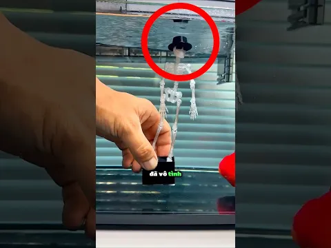 Anh chàng này có một ý tưởng để giải trí cho chú cá 😲